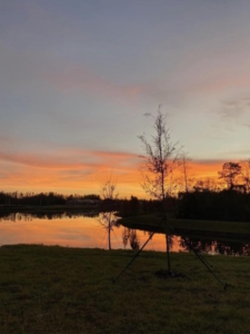 beautiful sunset from the patio, after the messy middle and in-between